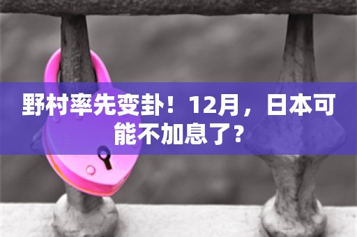 野村率先变卦！12月，日本可能不加息了？