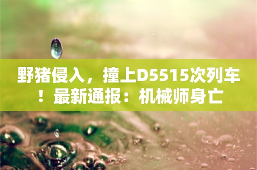 野猪侵入，撞上D5515次列车！最新通报：机械师身亡