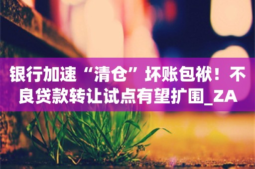 银行加速“清仓”坏账包袱！不良贷款转让试点有望扩围_ZAKER新闻