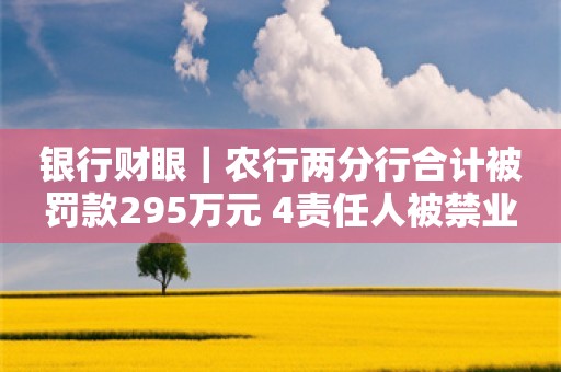 银行财眼｜农行两分行合计被罚款295万元 4责任人被禁业