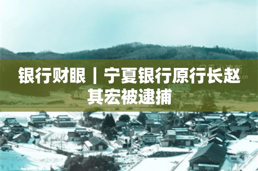 银行财眼｜宁夏银行原行长赵其宏被逮捕