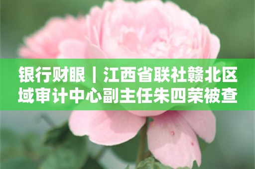 银行财眼｜江西省联社赣北区域审计中心副主任朱四荣被查