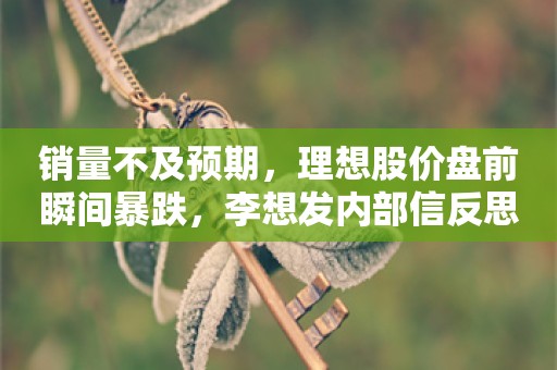 销量不及预期，理想股价盘前瞬间暴跌，李想发内部信反思