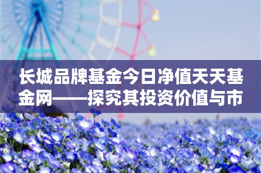 长城品牌基金今日净值天天基金网——探究其投资价值与市场表现