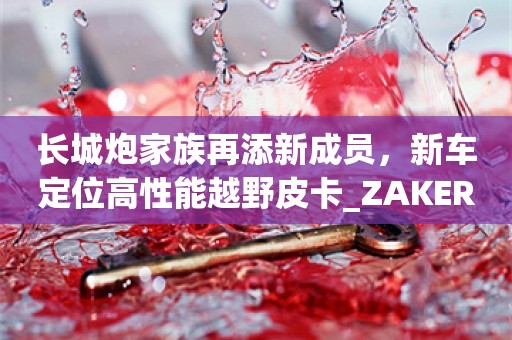 长城炮家族再添新成员，新车定位高性能越野皮卡_ZAKER新闻