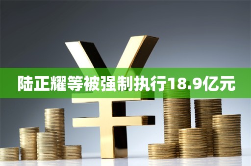 陆正耀等被强制执行18.9亿元