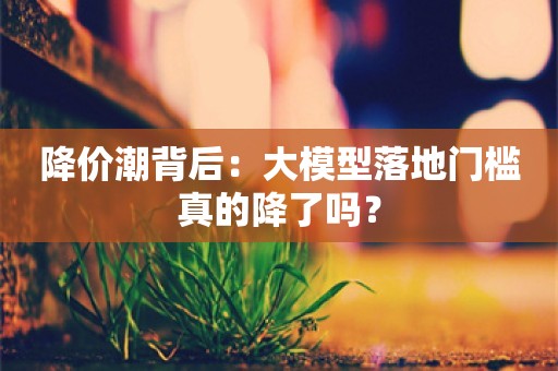 降价潮背后：大模型落地门槛真的降了吗？