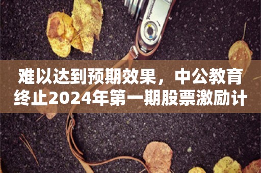 难以达到预期效果，中公教育终止2024年第一期股票激励计划