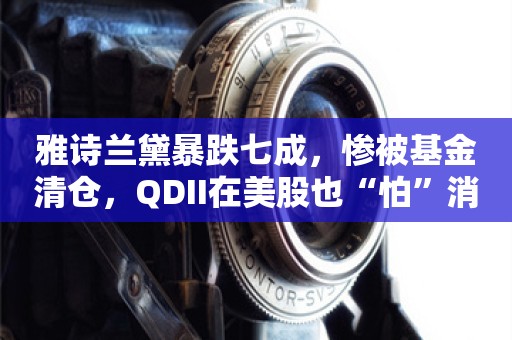 雅诗兰黛暴跌七成，惨被基金清仓，QDII在美股也“怕”消费？