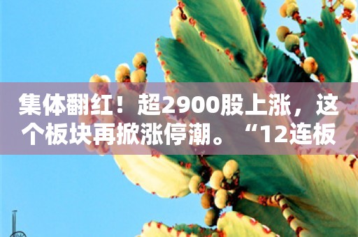 集体翻红！超2900股上涨，这个板块再掀涨停潮。“12连板”牛股今天跌了