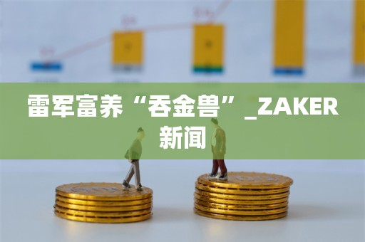 雷军富养“吞金兽”_ZAKER新闻