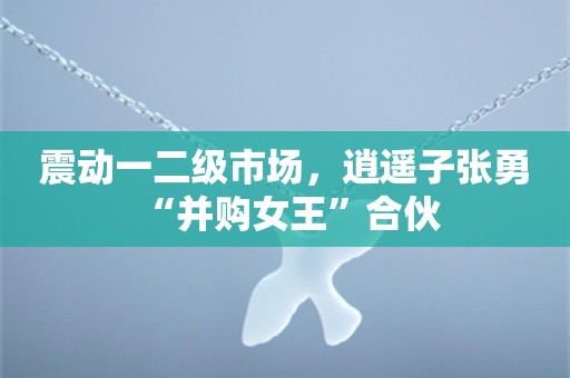 震动一二级市场，逍遥子张勇+“并购女王”合伙