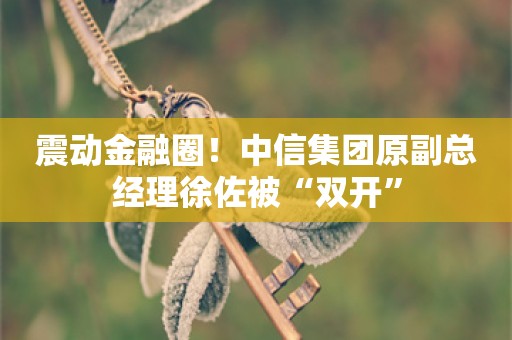 震动金融圈！中信集团原副总经理徐佐被“双开”