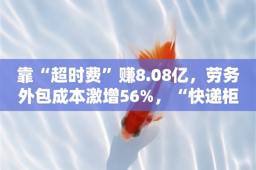 靠“超时费”赚8.08亿，劳务外包成本激增56%，“快递柜一哥”拟赴港IPO