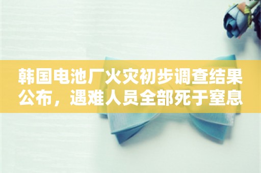 韩国电池厂火灾初步调查结果公布，遇难人员全部死于窒息