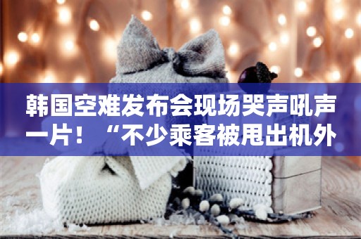 韩国空难发布会现场哭声吼声一片！“不少乘客被甩出机外，很难辨认”，航司高层鞠躬道歉