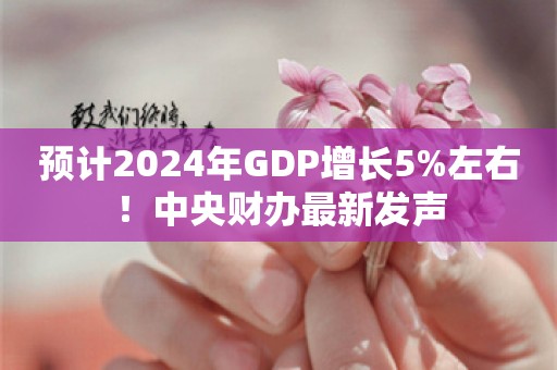 预计2024年GDP增长5%左右！中央财办最新发声