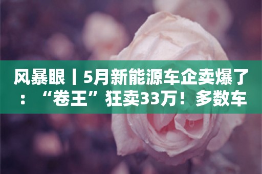 风暴眼丨5月新能源车企卖爆了：“卷王”狂卖33万！多数车企全年目标完成率不足4成