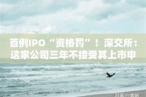 首例IPO“资格罚”！深交所：这家公司三年不接受其上市申请