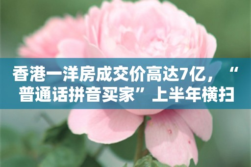 香港一洋房成交价高达7亿，“普通话拼音买家”上半年横扫百余宗5000万以上豪宅