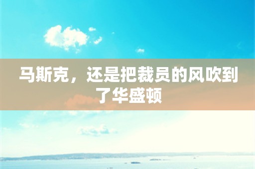 马斯克，还是把裁员的风吹到了华盛顿