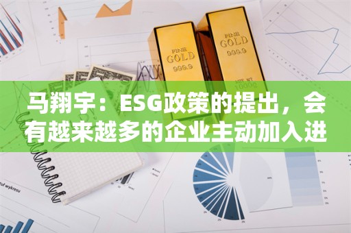 马翔宇：ESG政策的提出，会有越来越多的企业主动加入进来