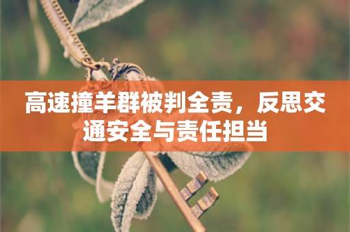 高速撞羊群被判全责，反思交通安全与责任担当