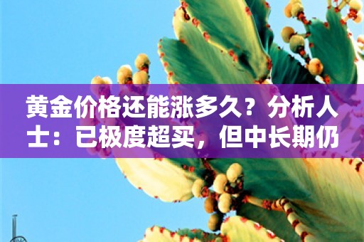 黄金价格还能涨多久？分析人士：已极度超买，但中长期仍有潜能