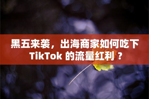 黑五来袭，出海商家如何吃下 TikTok 的流量红利 ？