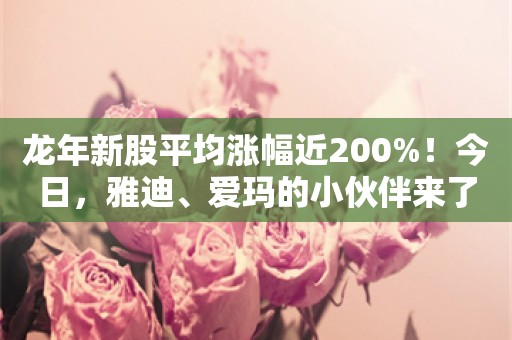 龙年新股平均涨幅近200%！今日，雅迪、爱玛的小伙伴来了