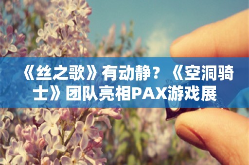  《丝之歌》有动静？《空洞骑士》团队亮相PAX游戏展