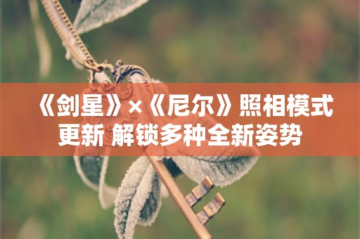  《剑星》×《尼尔》照相模式更新 解锁多种全新姿势