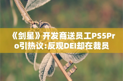  《剑星》开发商送员工PS5Pro引热议:反观DEI却在裁员