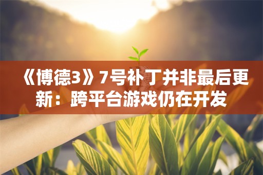  《博德3》7号补丁并非最后更新：跨平台游戏仍在开发