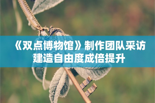  《双点博物馆》制作团队采访 建造自由度成倍提升