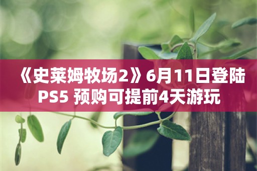  《史莱姆牧场2》6月11日登陆PS5 预购可提前4天游玩