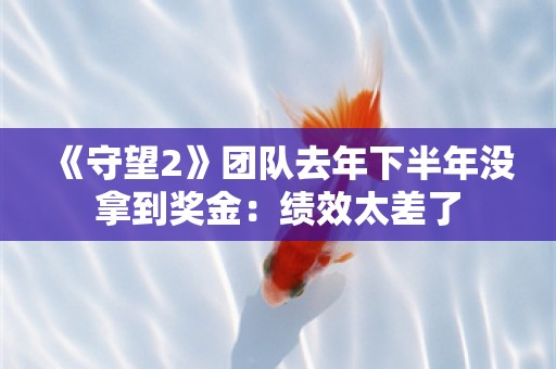  《守望2》团队去年下半年没拿到奖金：绩效太差了