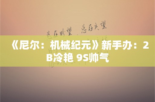  《尼尔：机械纪元》新手办：2B冷艳 9S帅气