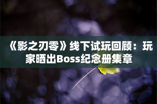  《影之刃零》线下试玩回顾：玩家晒出Boss纪念册集章