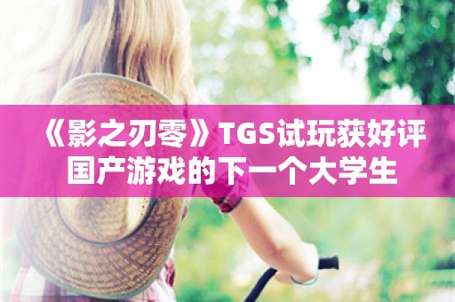  《影之刃零》TGS试玩获好评 国产游戏的下一个大学生