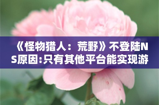  《怪物猎人：荒野》不登陆NS原因:只有其他平台能实现游戏所用的新技术