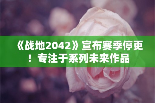  《战地2042》宣布赛季停更！专注于系列未来作品