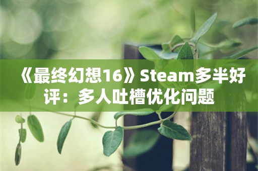  《最终幻想16》Steam多半好评：多人吐槽优化问题