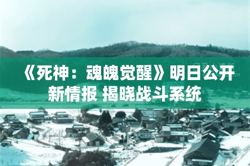  《死神：魂魄觉醒》明日公开新情报 揭晓战斗系统