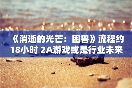  《消逝的光芒：困兽》流程约18小时 2A游戏或是行业未来