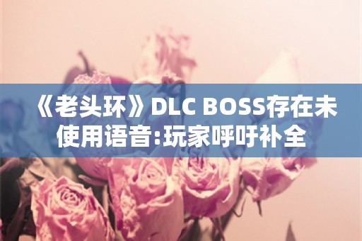  《老头环》DLC BOSS存在未使用语音:玩家呼吁补全