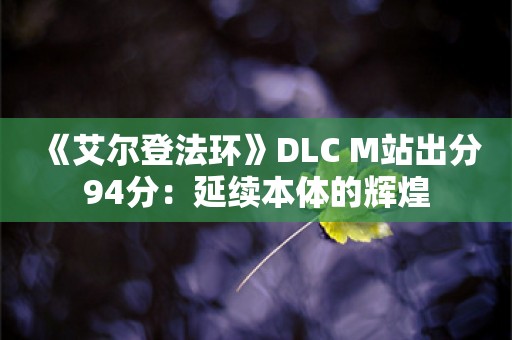  《艾尔登法环》DLC M站出分94分：延续本体的辉煌