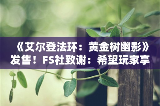  《艾尔登法环：黄金树幽影》发售！FS社致谢：希望玩家享受冒险