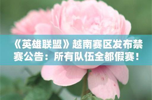  《英雄联盟》越南赛区发布禁赛公告：所有队伍全都假赛！