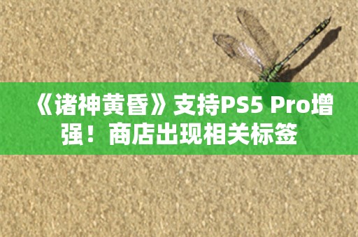  《诸神黄昏》支持PS5 Pro增强！商店出现相关标签